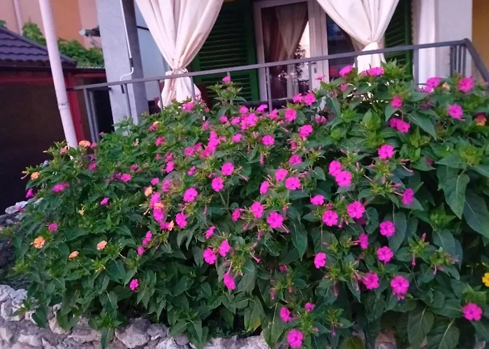 Casa Andrei M Πανσιόν Eforie Sud (Constanta)