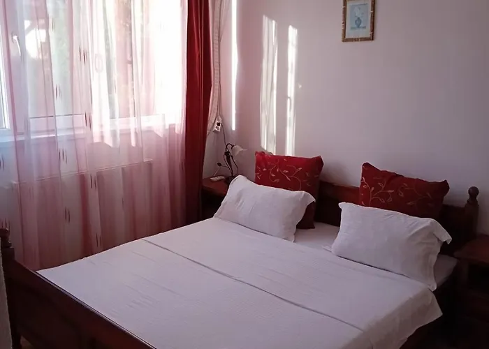 Casa Andrei M Πανσιόν *