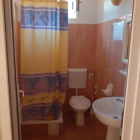 Casa Andrei M Guest house *