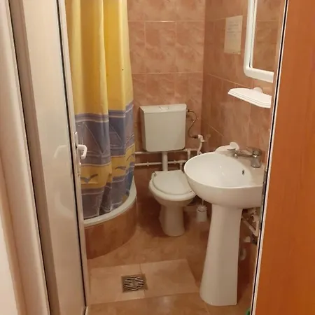 Casa Andrei M Guest house *