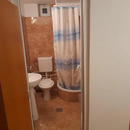 Guest house Casa Andrei M *