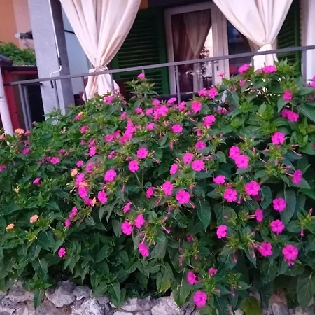Casa Andrei M Affittacamere Eforie Sud (Constanta)