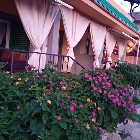 Casa Andrei M
