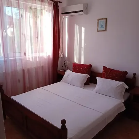 Casa Andrei M Guest house *